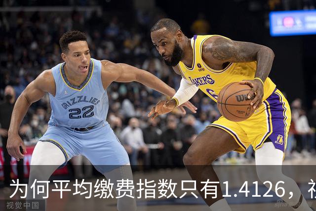 为何平均缴费指数只有1.4126，视同缴费指数却高达2.9753？