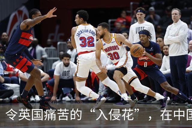 令英国痛苦的“入侵花”，在中国沦为咸菜，吃到人工种植成笑谈