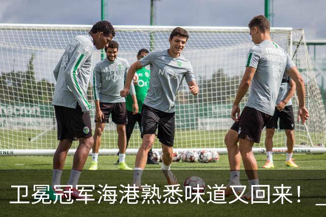 卫冕冠军海港熟悉味道又回来！ 10月5场比赛 联赛全胜 亚冠一场没赢