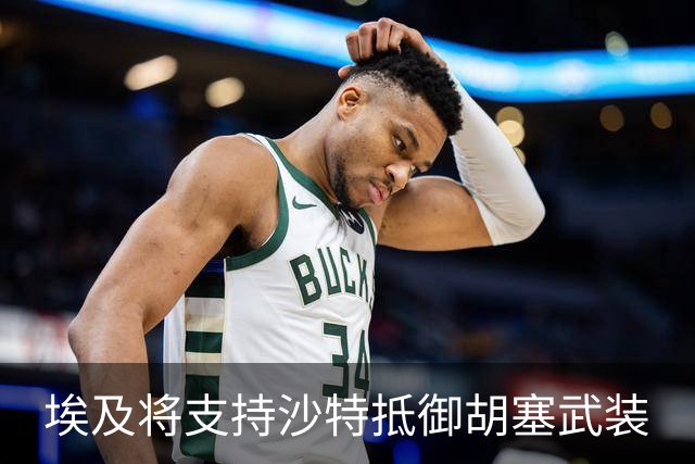 埃及将支持沙特抵御胡塞武装