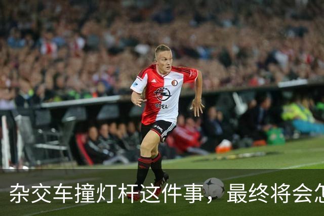 杂交车撞灯杆这件事，最终将会怎样收场？