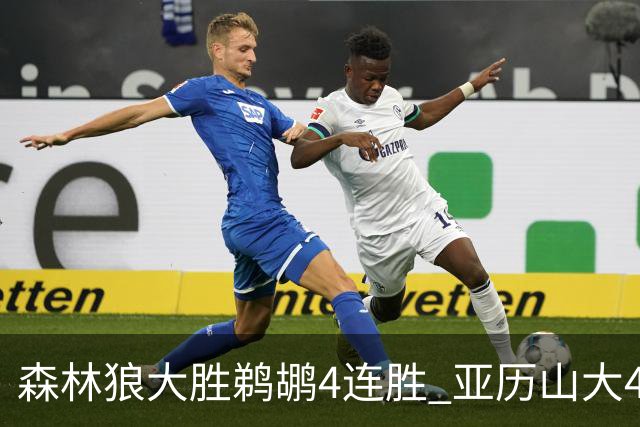 森林狼大胜鹈鹕4连胜 亚历山大43分雷霆克骑士