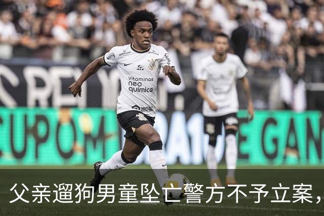 父亲遛狗男童坠亡警方不予立案，母亲最新发声