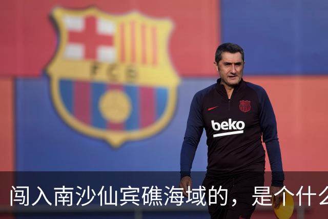 闯入南沙仙宾礁海域的，是个什么舰？